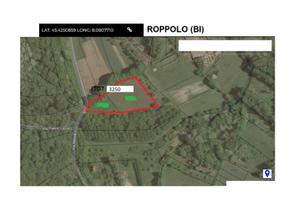 Terreno Il Buon VIno