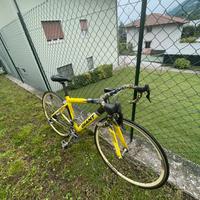 Bicicletta giant da corsa