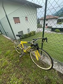 Bicicletta giant da corsa