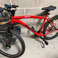 Bicicletta mountain bike