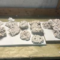 Rocce acquario marino