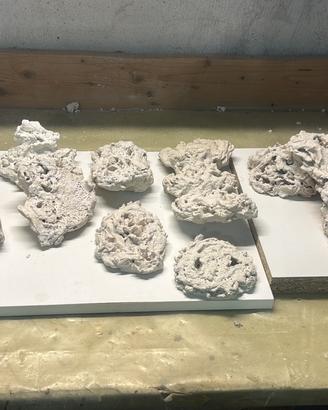 Rocce acquario marino