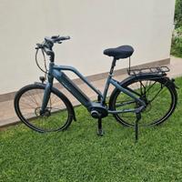 bici elettrica 