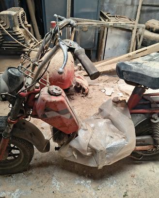 mini biker anni '70 MOTRON