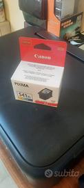 cartuccia Canon Pixma 451xl colore 