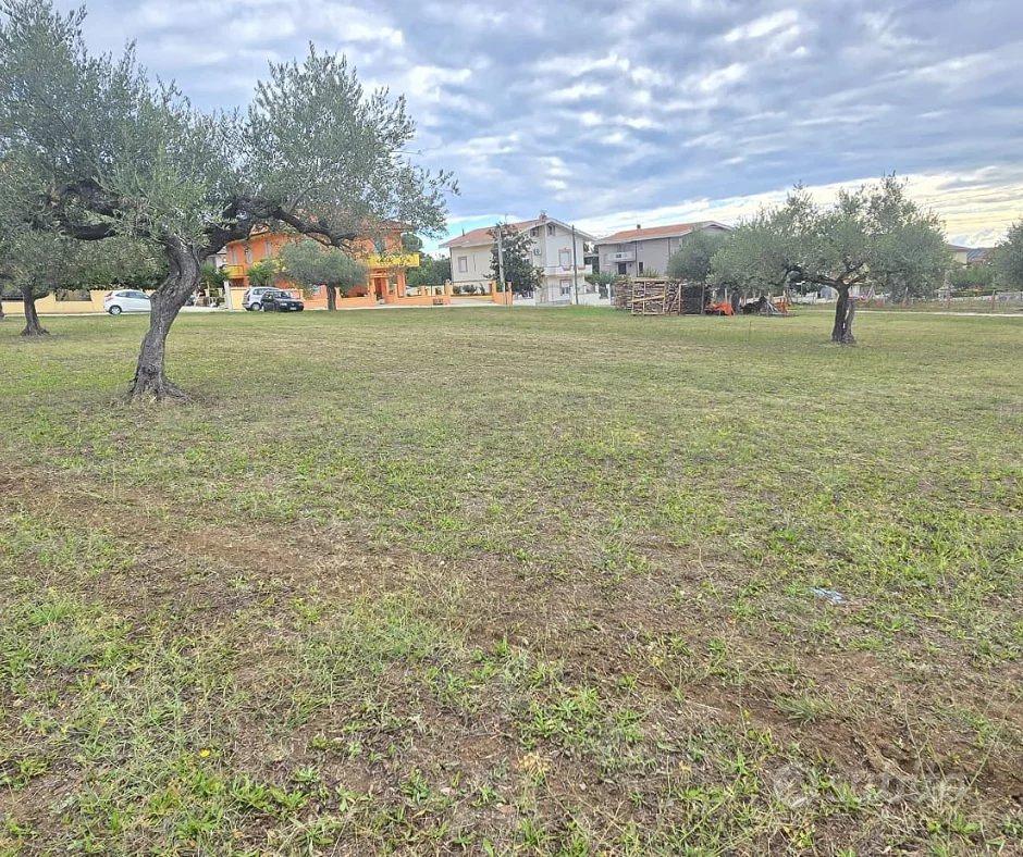 COLLECORVINO TERRENO EDIFICABILE - Vista 5