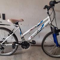 Bicicletta ITEK