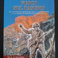 libro Fuoco sul Pasubio 