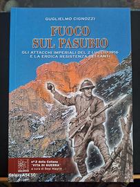 libro Fuoco sul Pasubio 