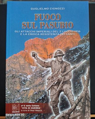 libro Fuoco sul Pasubio 