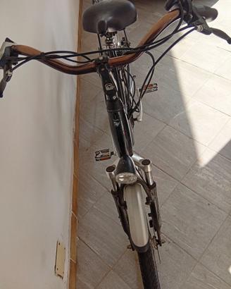 bici elettriche pedalata assistita