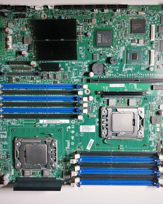 scheda madre Intel Server S5520UR