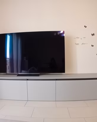 mobile tv