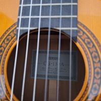 Chitarra