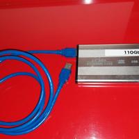 Disco esterno hard disk Ata 110 Giga