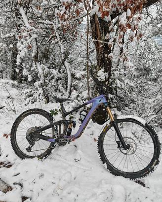 Giant Reign Advanced Carbon 29 2024 taglia L