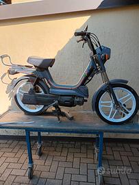 garelli gary  special