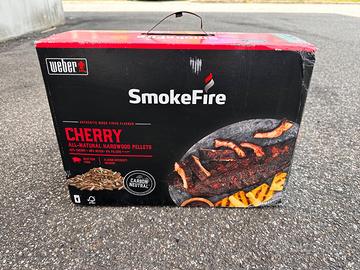 Pellet SmokeFire di Weber