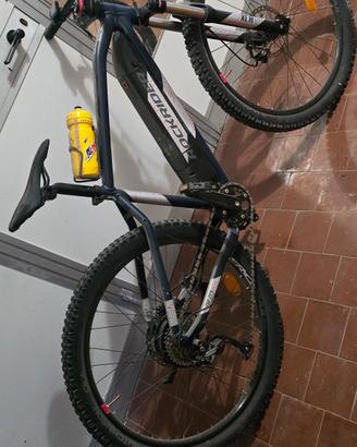 ebike 