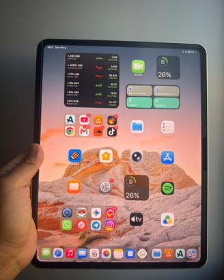 IPad Pro M4 256gb Wi-Fi + Cellular