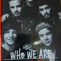 Who we are. Autobiografia degli One Direction