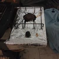 barbecue usato