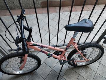 bicicletta