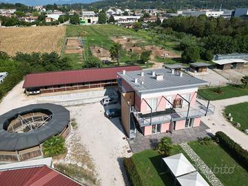 Commerciale Altro - Montebelluna