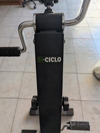 bi ciclo