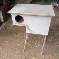 Nido per anatra mandarino