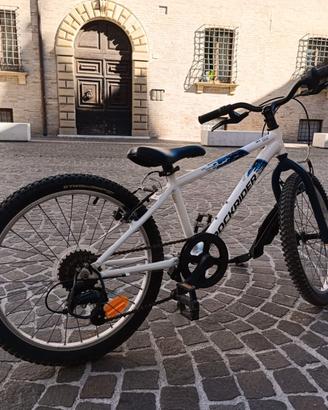 Bicicletta Mountain Bike 20 pollici