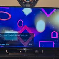 TV Sony Bravia 42W828B