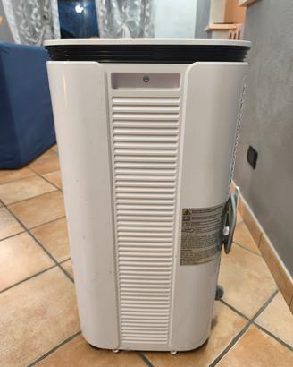 Condizionatore portatile 