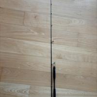 Canna penn conflict light jiigging spinning 120g