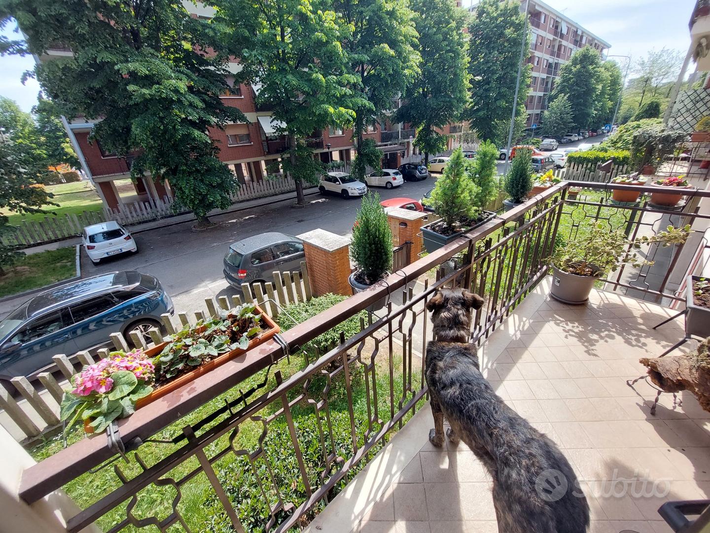 Appartamento – Collegno, Leumann - Vista 5