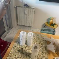 Lampadario di Murano