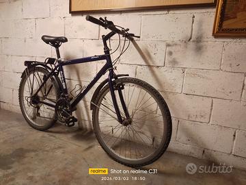 bicicletta MTB da 26 cambio 