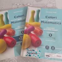 I colori della matematica vol. 1