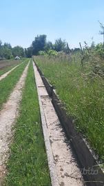 Terreno agricolo