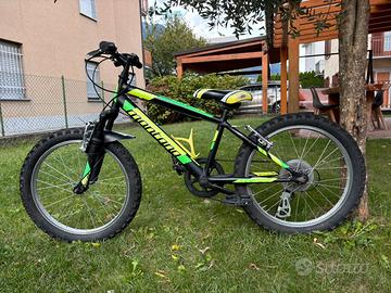 Mtb bambino misura 20