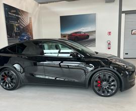 TESLA MODEL Y performance