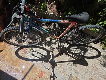 Mountain bike Edoardo Bianchi
