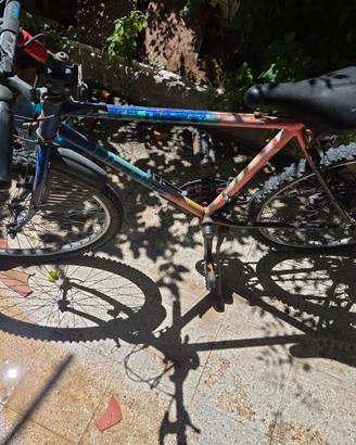 Mountain bike Edoardo Bianchi