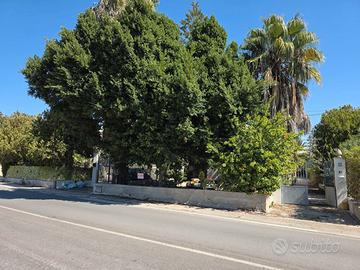 SELINUNTE VILLA CON TERRAZZO VISTA MARE E TEMPLI.