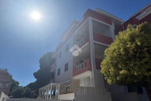 3 LOCALI A SANTA MARINELLA