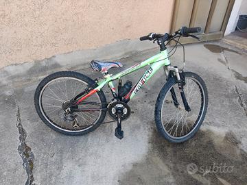 Bicicletta da bambino