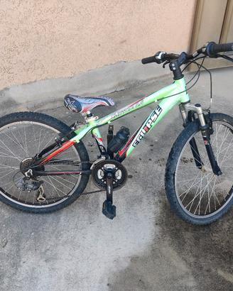 Bicicletta da bambino