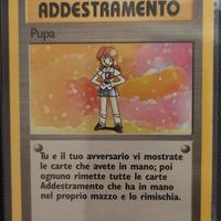 Pokémon card - pupa