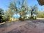 Immagine 25