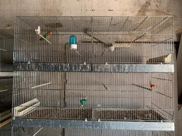 Batteria x allevamento da 120 cm